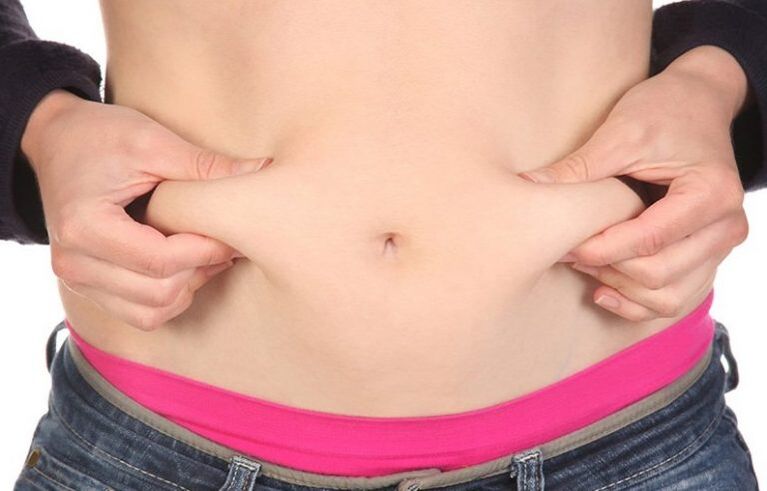 folds of fat in the abdomen